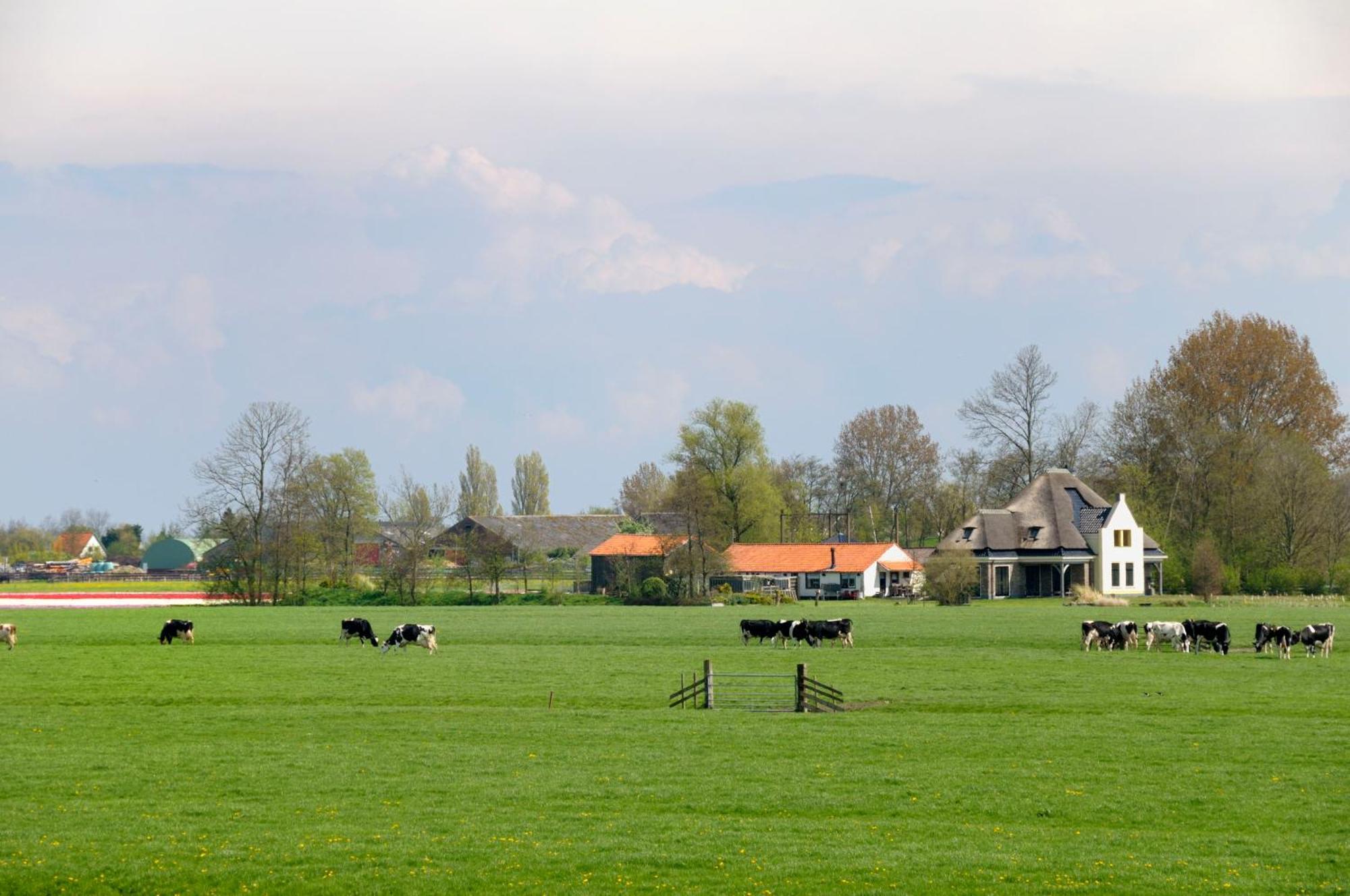 Hotelhuisjes Oosterleek Zewnętrze zdjęcie